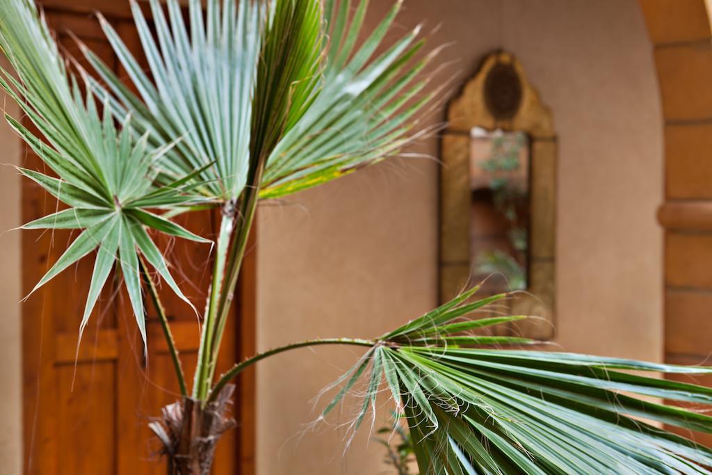 Riad Chbanate الصويرة المظهر الخارجي الصورة